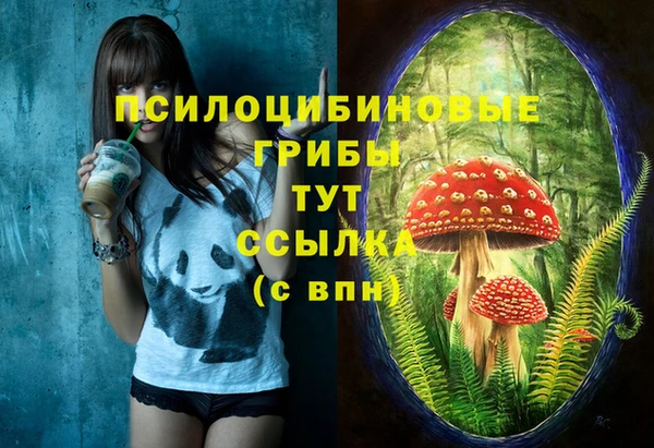 mdma Осташков