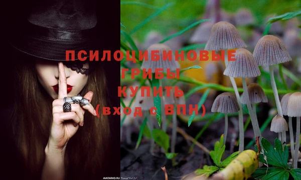 амф Нягань